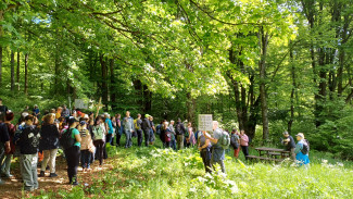 Ökumenische Kreuzbergwallfahrt 2025: Einzelsegnung an der Quelle im Wald
