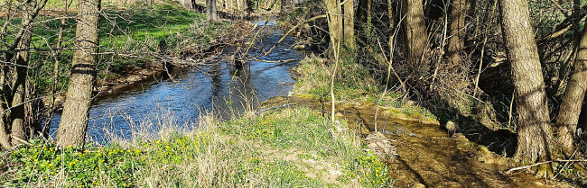 Rhöner Bahra bei Nordheim + Süsselbach