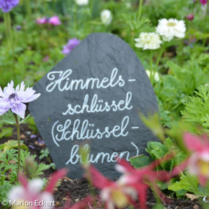 Himmelsschlüssel